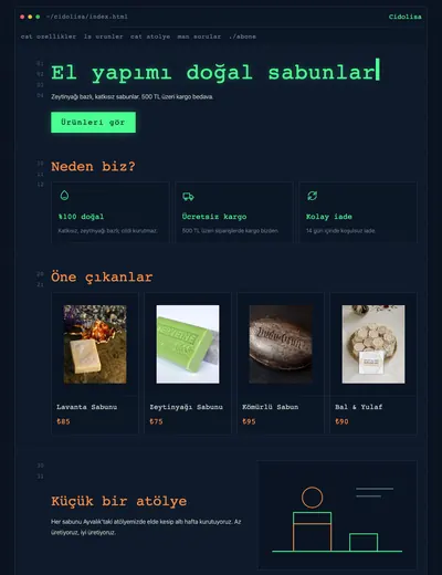 Neon Terminal temasının ana sayfası