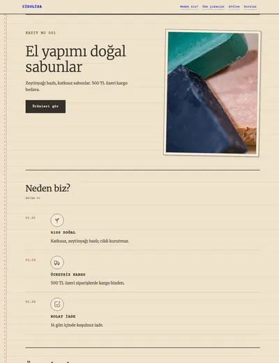 Kayıt Defteri temasının ana sayfası