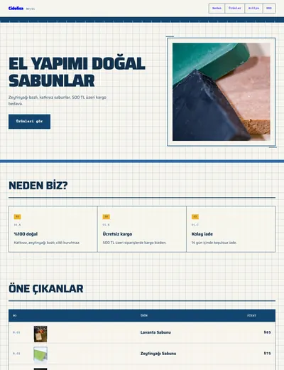 Mavi Çizgi temasının ana sayfası
